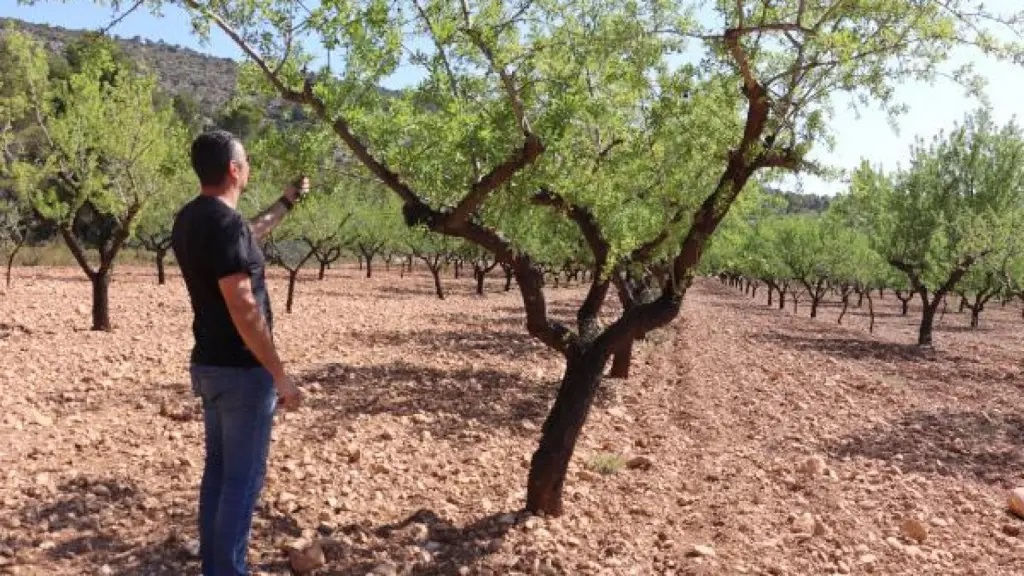Agricultura éxito